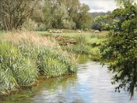 Landscapes - Sold (120)